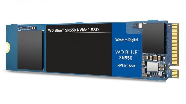 Western Digital 1000 GB WDS100T2B0C