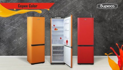 ТОП-10 лучших холодильников Бирюса в 2021 году