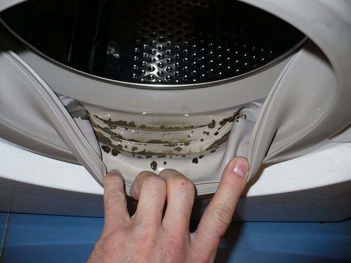 Грибковая плесень в стиральной машине